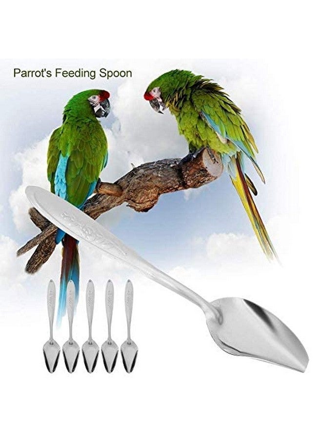 جوتوتوب ملعقة طعام GOTOTOP 5 قطع من الفولاذ المقاوم للصدأ لطعام الببغاء لجميع صغار الطيور من نوع الفاوانيا والكوكاتيل مقاس 5.9 بوصة - Image 5