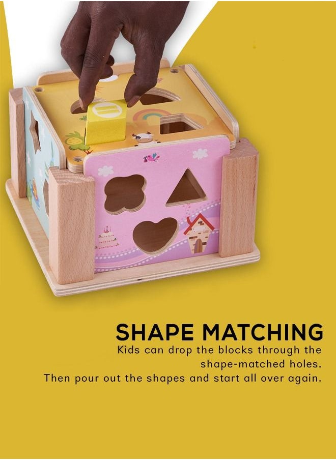 BAYBEE Wooden Intelligence Box Stacking Sorting Kids Toys Intellectual Challenge Brain Puzzle Game For Toddlers Early Educational Learning Block Games 36+ Months  - Image 5