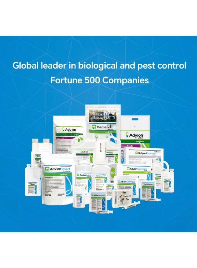 Advion Cockroach Gel Bait 30g – 1 Box Pack with Plunger & Tip | Indoor Home Use | For German, American & Household Roaches - Image 5