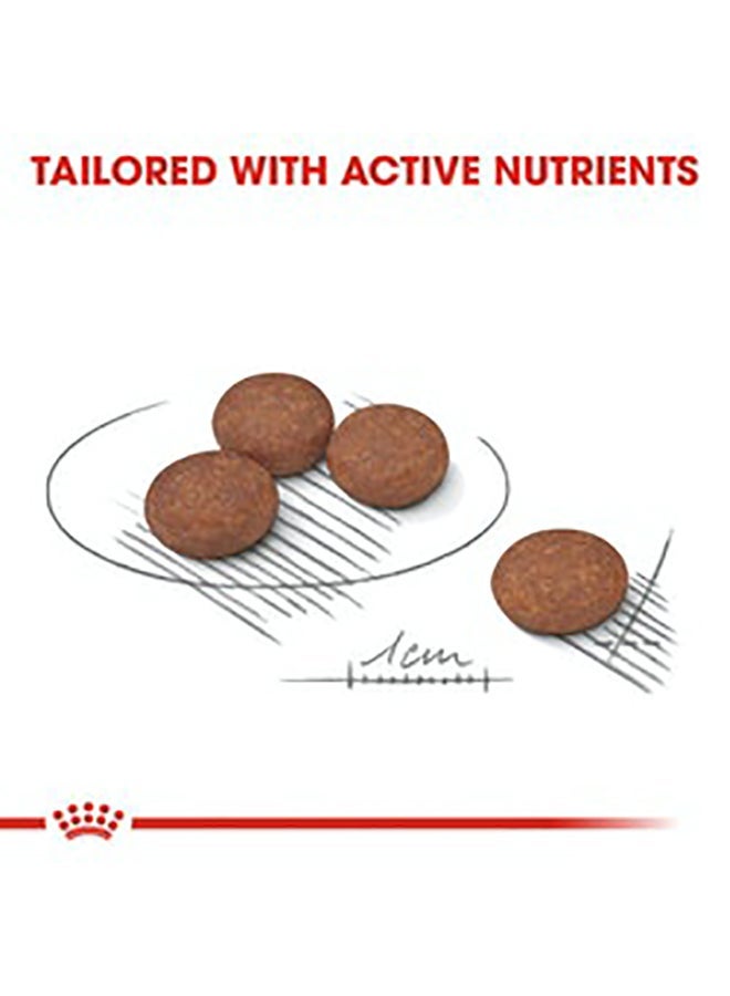 ROYAL CANIN Nutrition Mini Digestive Care 3kg - Image 4