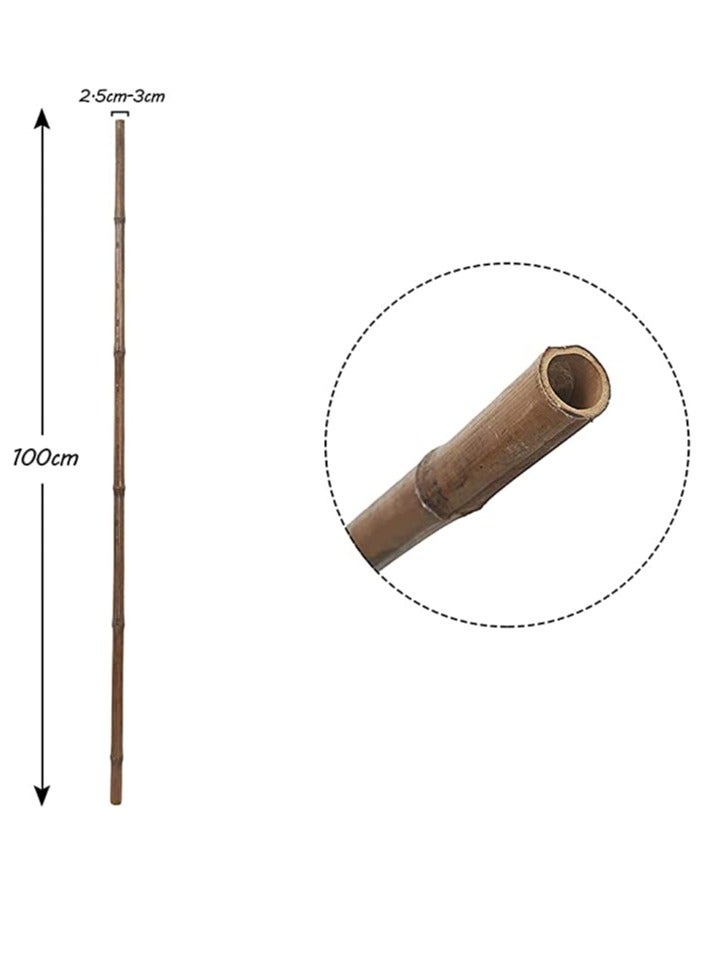 HOME TASTE Natural Bamboo Garden Sticks 100 cm 10 pcs  Bamboo Poles for Climbing Plants Support  - Image 2