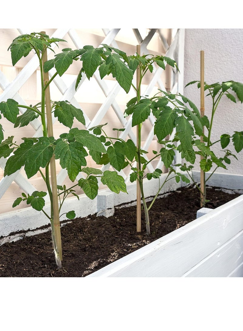HOME TASTE Natural Bamboo Garden Sticks 100 cm 10 pcs  Bamboo Poles for Climbing Plants Support  - Image 3