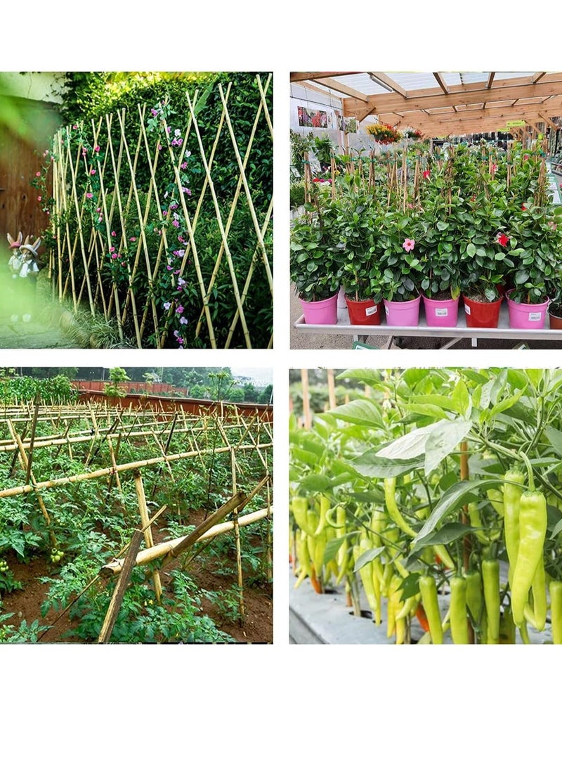 HOME TASTE Natural Bamboo Garden Sticks 100 cm 10 pcs  Bamboo Poles for Climbing Plants Support  - Image 4
