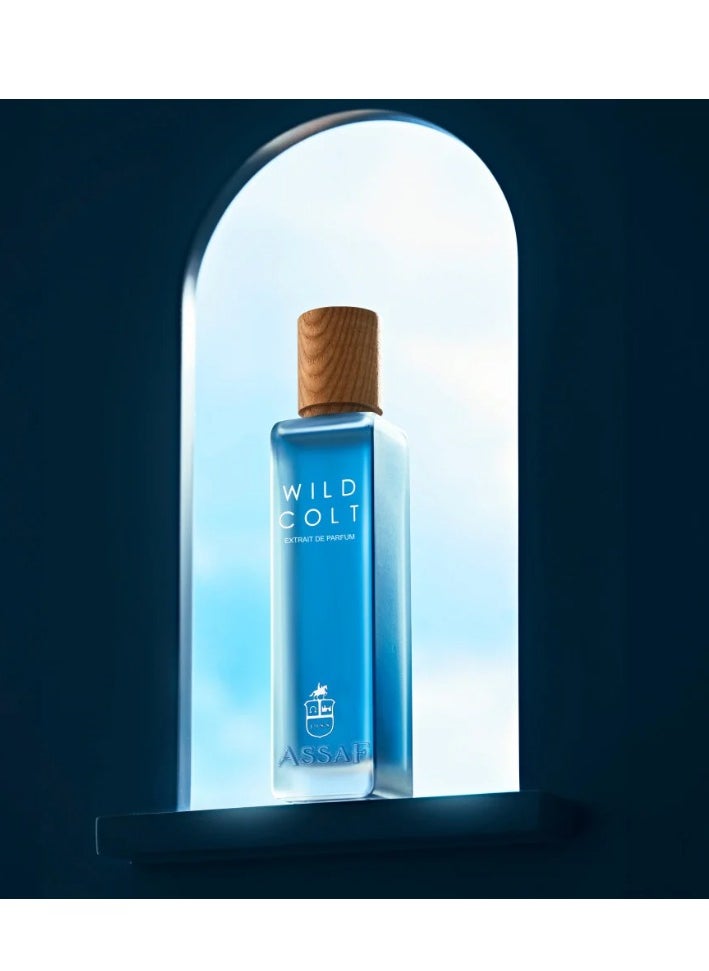ASAAF - Assaf Perfume - Wild Cult 100+ (Gift) - Image 1