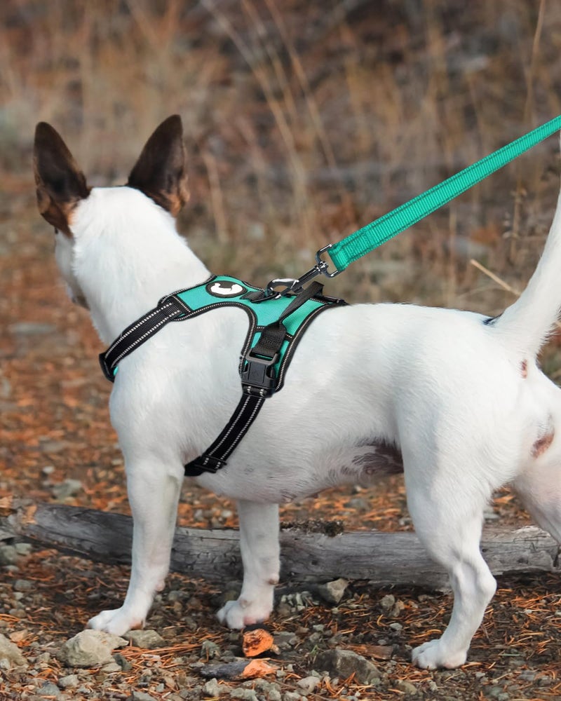 Joytale Dog Leash, 6 FT Double-Sided Reflective, Padded Handle Nylon Heavy Duty Leashes for Medium & Large Dogs Walking, Teal, 6FT - Image 3