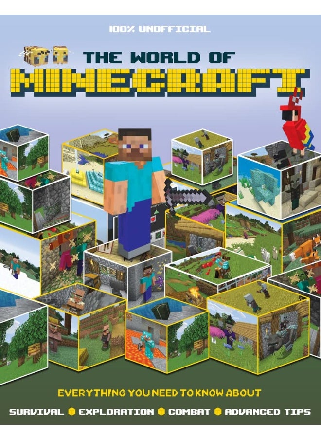 The World of Minecraft 