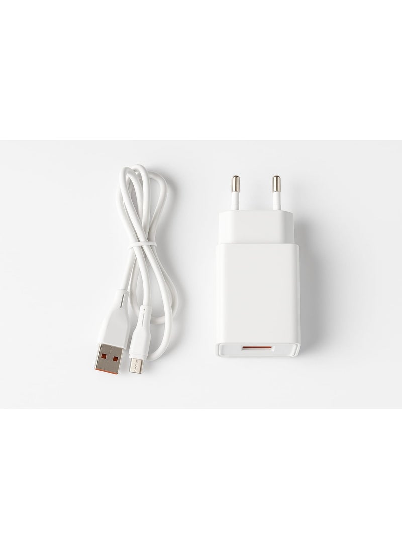 2.4A Mobile Phone Charger with Type-C Cable
