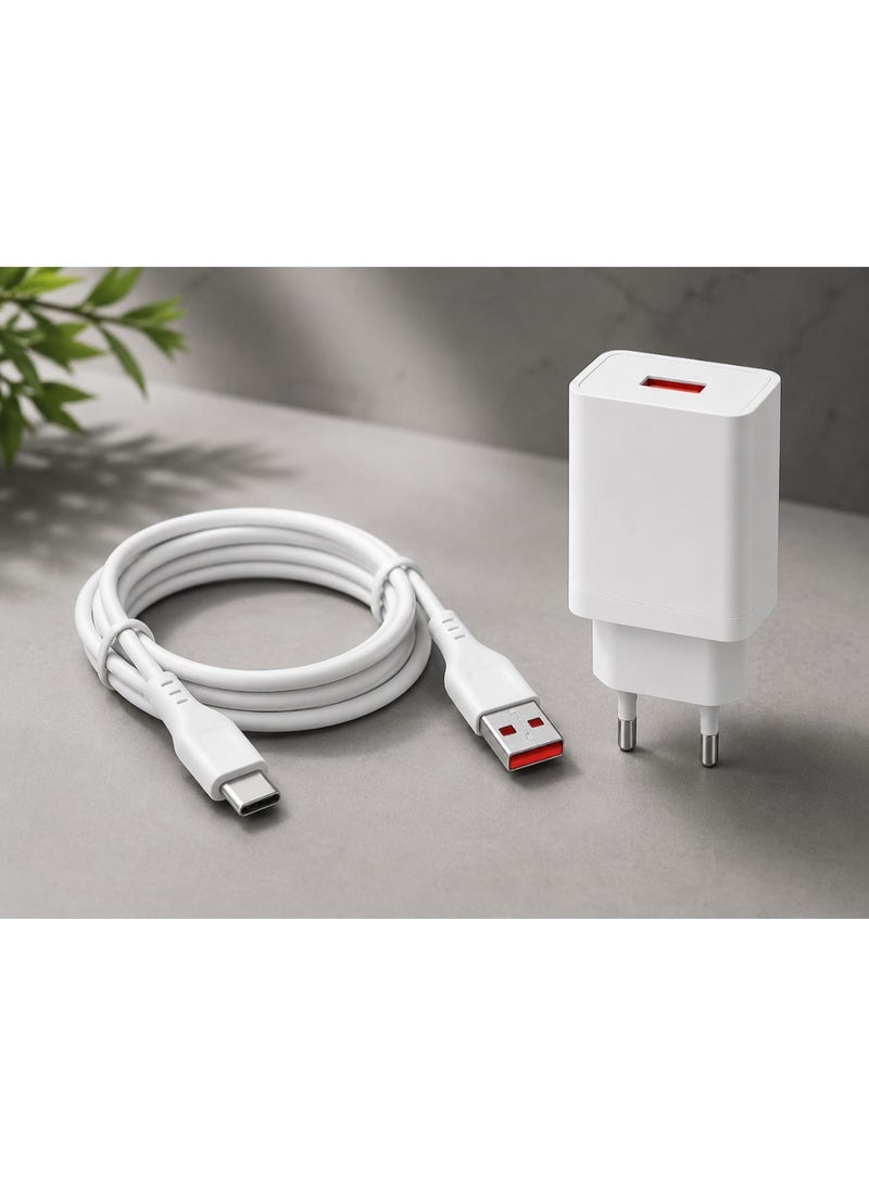 شاحن حائط مع كابل من USB إلى Type-C مخرج التيار المتردد: 2.4 أمبير