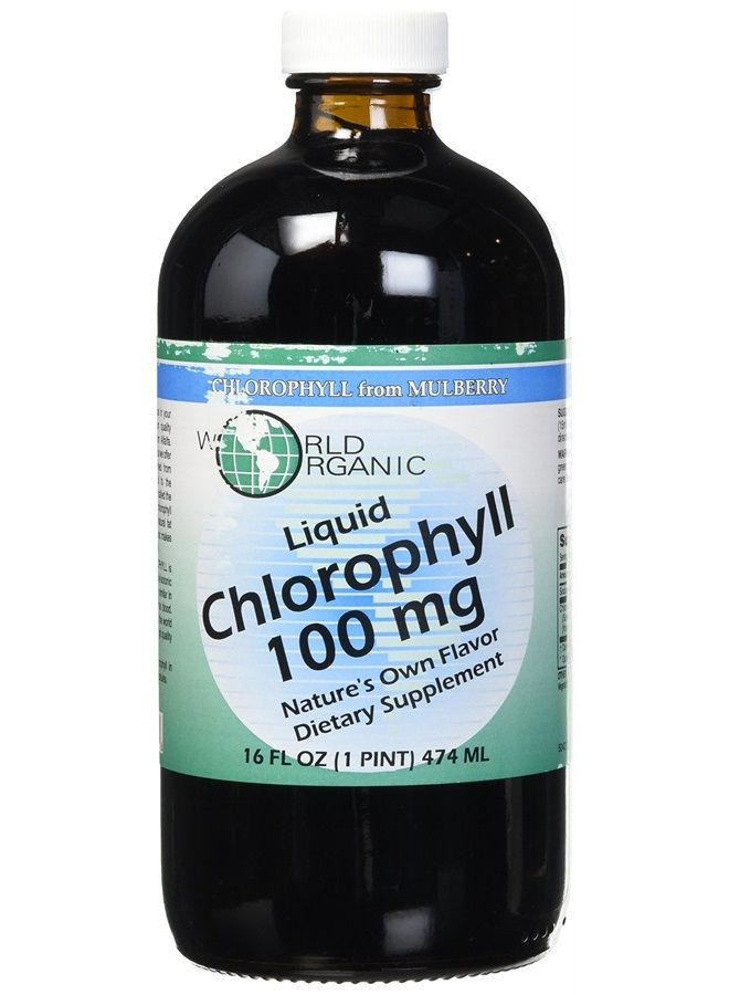 WORLD ORGANIC Liquid Chlorophyll 100mg Mullberry, 0.02 Pound - Image 1