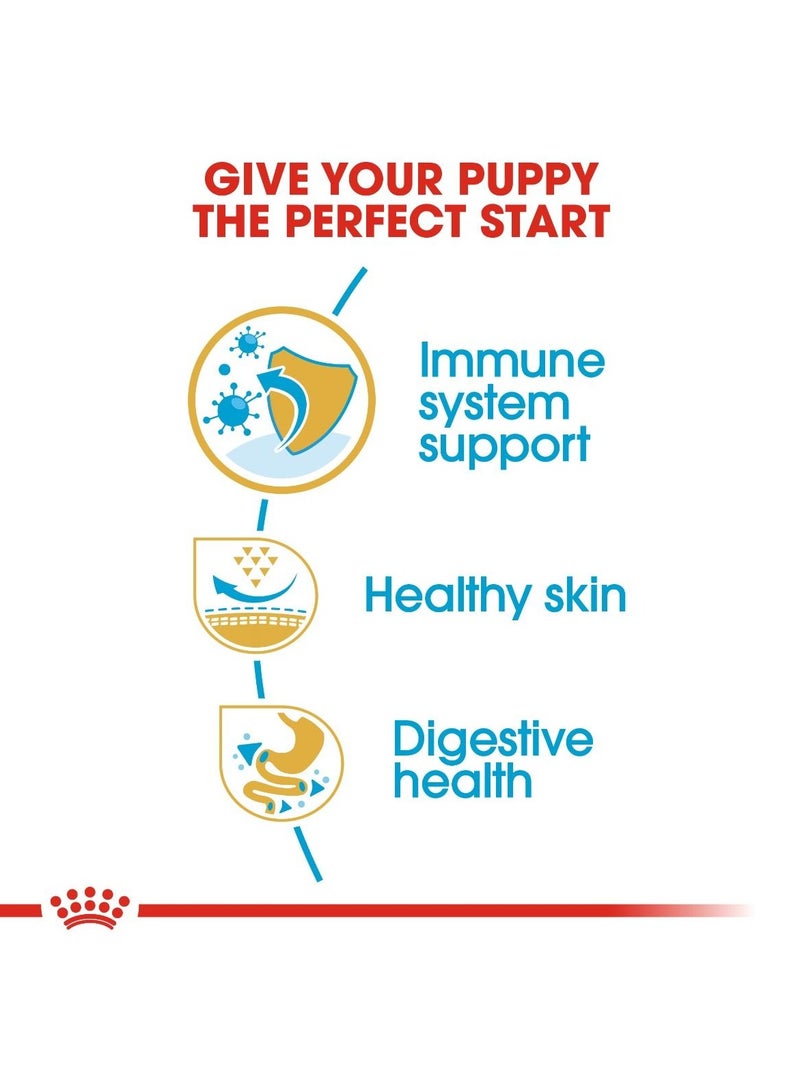 Royal Canin Breed Health Nutrition Pug Puppy 1.5 KG - Image 4