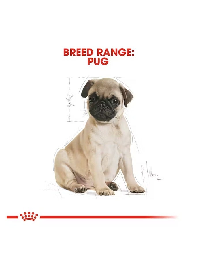 Royal Canin Breed Health Nutrition Pug Puppy 1.5 KG - Image 5