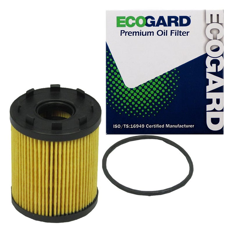ECOGARD X6162 Premium Cartridge Engine Oil Filter for Conventional Oil Fits Fiat 500 14L 20122019 500L 14L 20142020 124 Spider 14L 20172020