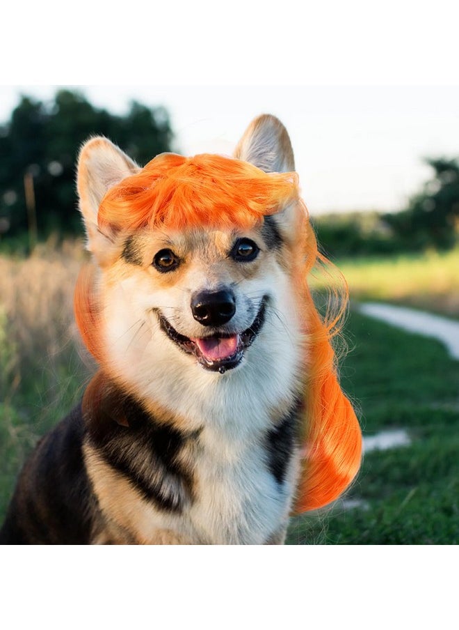 Alasum - Cats Wearing Wigs  Cat Wig Pet Wig Cosplay Wig Orange Decor Cosplay Accessories Orange Wig Halloween Costumes Dog Wig Hair Decor Puppy Outfits Halloween Costumes Puppy - Image 1