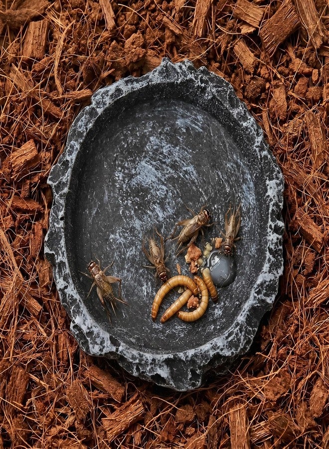 OperSeven 2 Pack Reptile Water and Food Bowls, Feeding Dish for Leopard Gecko, Lizard, Spider, Scorpion, Chameleon - Breadworm Feeding (2Pcs Round) - Image 2
