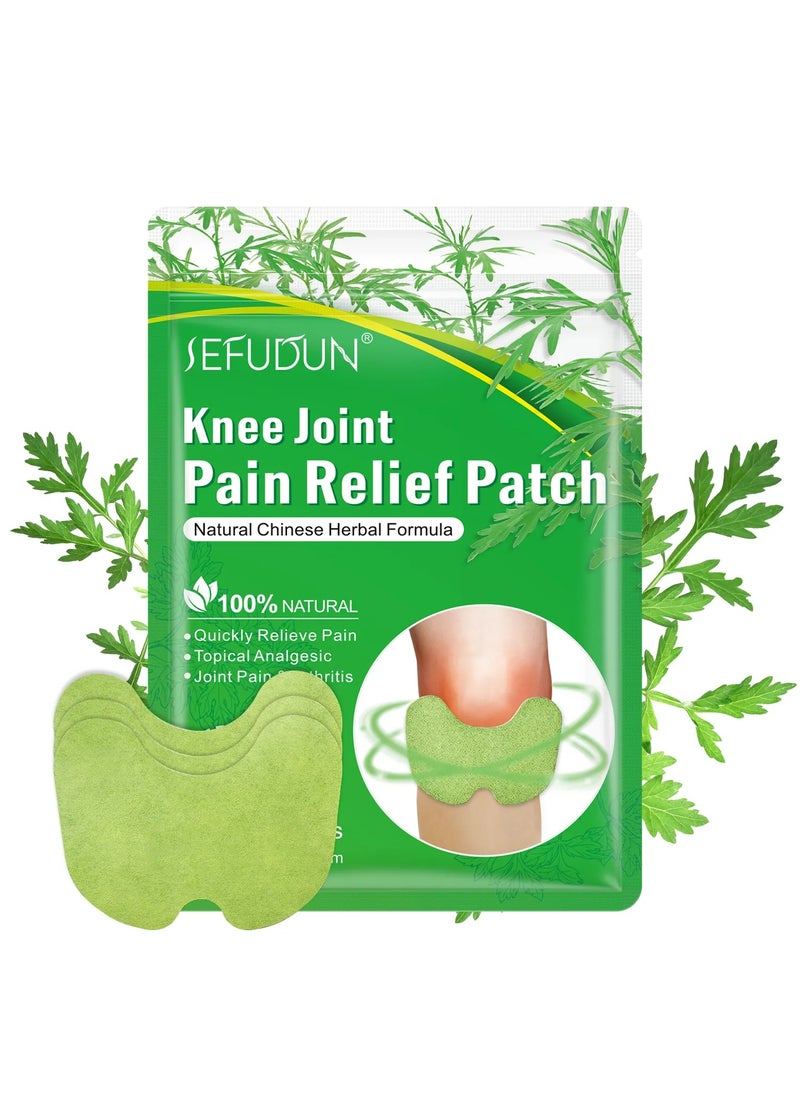 Sefudun Chinese Herbal Natural Knee Joint Pain Relief Patch Knee Pain Treatment Plaster and Pads for Knee  - Image 1