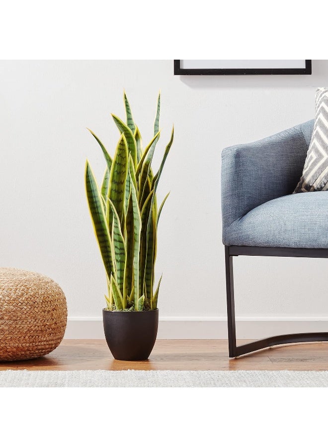 Nearly Natural Nearly Natural 33 Sansevieria Artificial Silk Plants Green  - Image 5