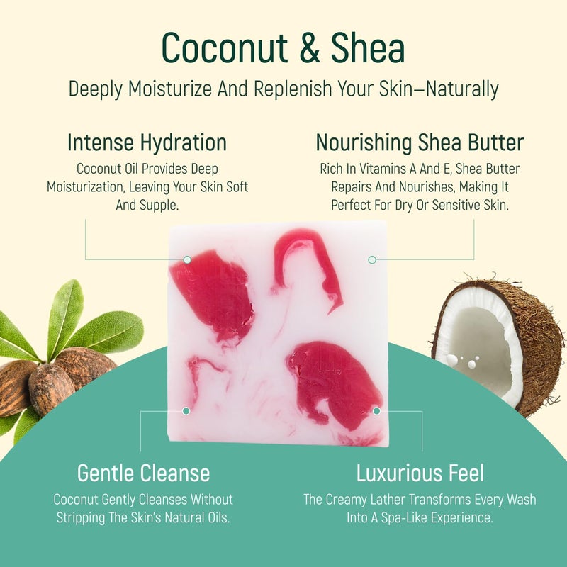 BAMBOEARTH Solid Moisturizing Body Wash Bar Soap â€“ Natural Dry Gel Bodywash Shower Bars With Plant Based Essential Oil And Zero Waste Packaging - Use With Hair Shampoo & Conditioner (Coconut & Shea) - Image 5