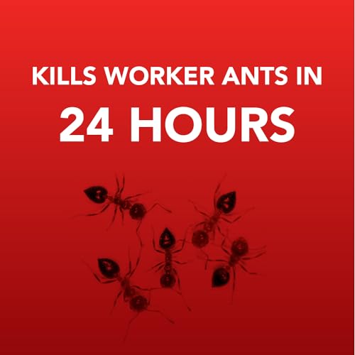 Ortho Home Defense 4PK Metal Outdoor/Indoor Bait Stations - Image 5