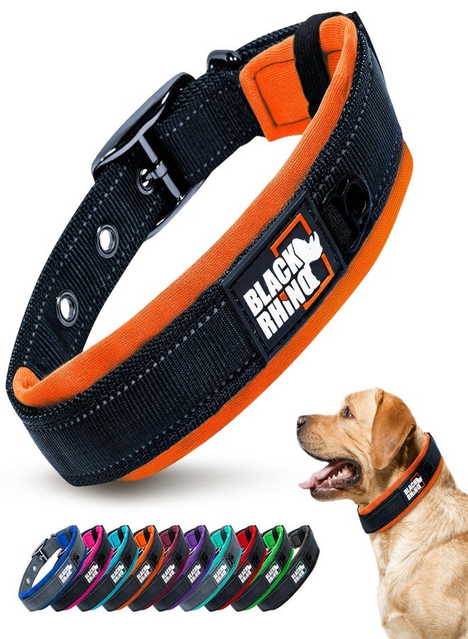 بلاك رينو طوق بلاك راينو للكلاب متوسطة الحجم - طوق متين عاكس قابل للتعديل مع حشوة نيوبرين فائقة النعومة - مقاوم للعوامل الجوية، متين، ومريح للكلاب النشطة - برتقالي وأسود - Image 1