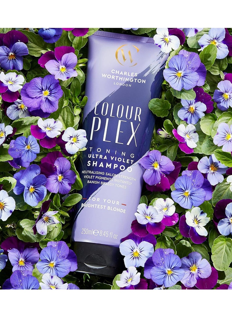 CHARLES WORTHINGTON Colourplex Toning Ultra Violet Shampoo Purple Shampoo for Blonde Hair Toning Shampoo for Blondes Purple Pigment Shampoo 250ml  - Image 5