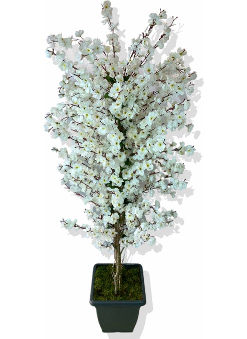 Artificial Tree Spring Branch White 180CM - pzsku/ZAD4FCBAA0A50D9ADBFADZ/45/_/1725793681/86fe9e57-86ba-4e09-a5f1-b6952ce1bafa