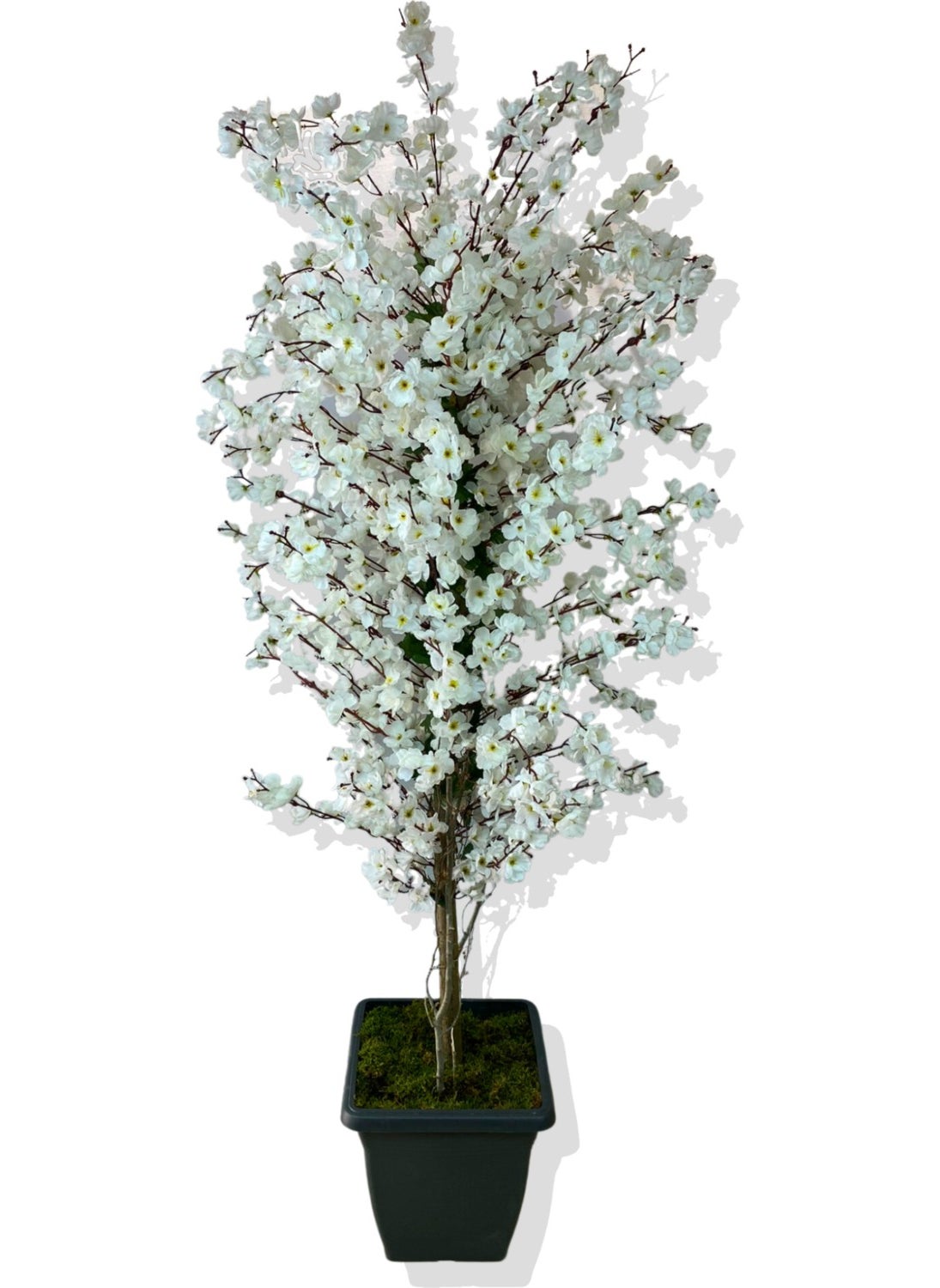 Artificial Tree Spring Branch White 180CM