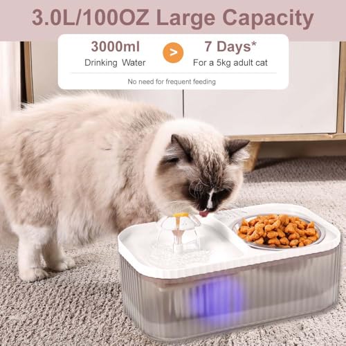 Marchul Cat Water Fountain and Stainless Steel Food Bowl, 100oz/3L Super Quiet Automatic Pet Water Dispenser with Smart Pump and 3 Replacement Filters for Cats and Small Dogs, White - Image 3