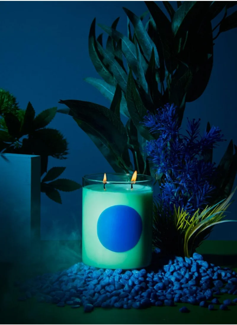 WXY Disco Candle – Orris Root & Amber  Disco Collection  Luxury Scented Candle in Glass Base – Perfect for Gifting