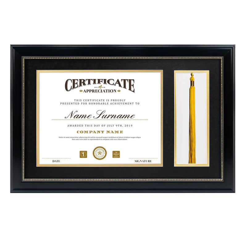GraduatePro 11x17 Diploma Frame with Tassel Holder for 85x11 Certificate Shadow Box Mahogany Gold Rim with Double Mat Navy Over Gold Real Glass