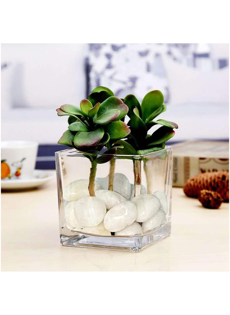 Generic - River Rock Stones Pebbles 2-3cm Natural Decorative Polished Mixed White Pebbles Gravel for Garden Plant Pots Landscaping Terrariums Vase Fillers 5lb (2.25 KG) - Image 1