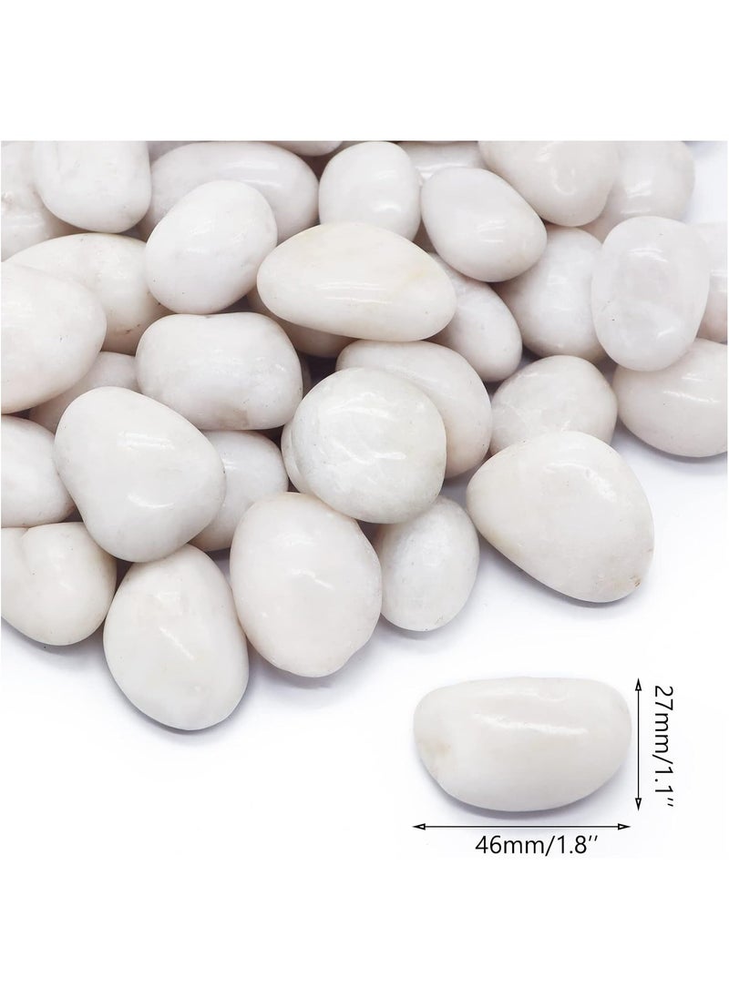 Generic - River Rock Stones Pebbles 2-3cm Natural Decorative Polished Mixed White Pebbles Gravel for Garden Plant Pots Landscaping Terrariums Vase Fillers 5lb (2.25 KG) - Image 1