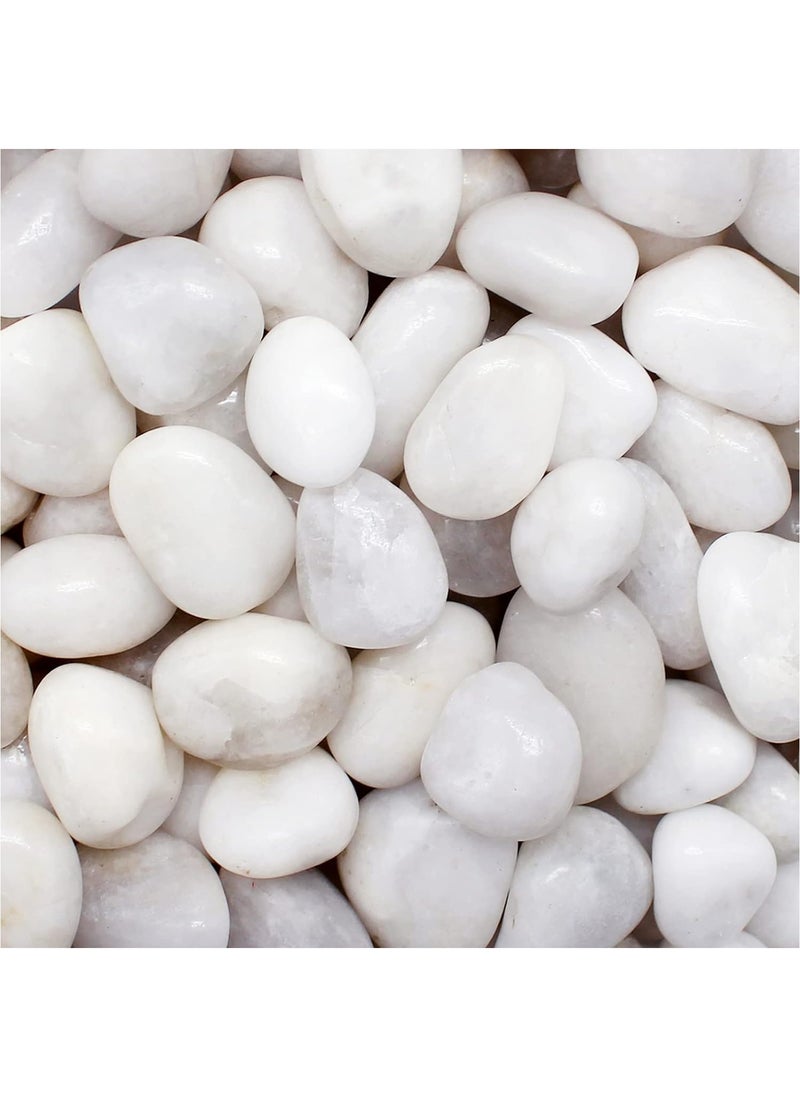 Generic - River Rock Stones Pebbles 2-3cm Natural Decorative Polished Mixed White Pebbles Gravel for Garden Plant Pots Landscaping Terrariums Vase Fillers 5lb (2.25 KG) - Image 1