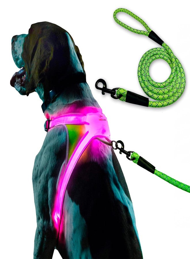 Noxgear LightHound (Large) + High-Visibility Dog Leash - Illuminated and Reflective Harness for Dogs Including Multicolored LED Fiber Optics (USB Rechargeable, Adjustable, Lightweight, Rainproof) - Image 1