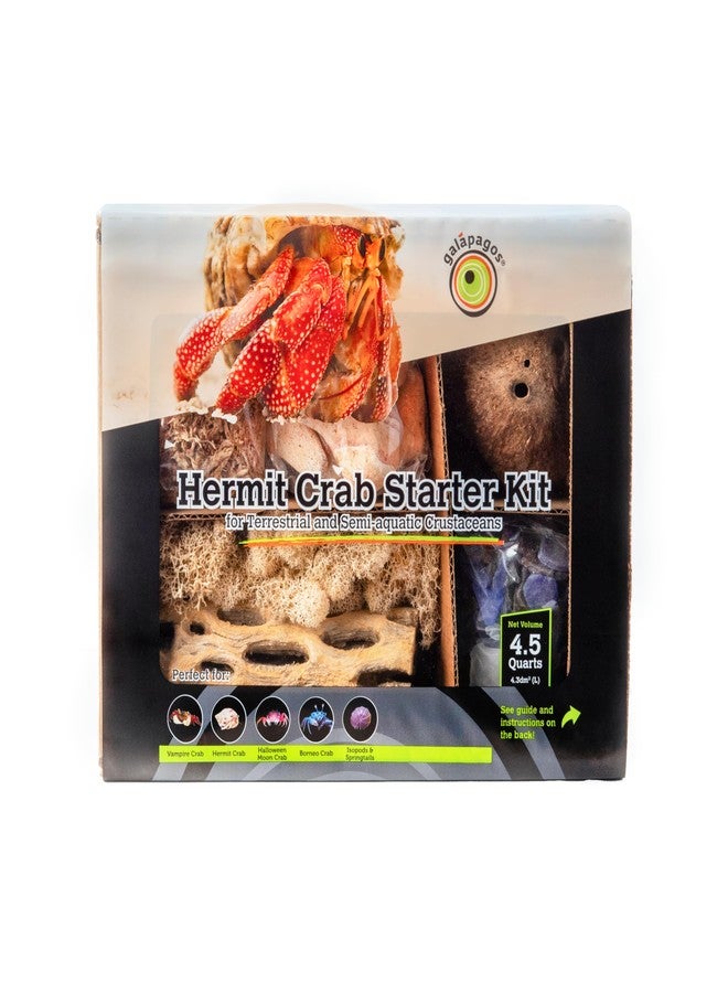 Galapagos Galápagos (05355) Hermit Crab Starter Kit - Complete DIY Habitat Essentials for Terrestrial and Semi-Aquatic Crustaceans, Includes Cholla Wood, Coconut Hut, Moss, Stones and More, 4.5 Quarts - Image 1