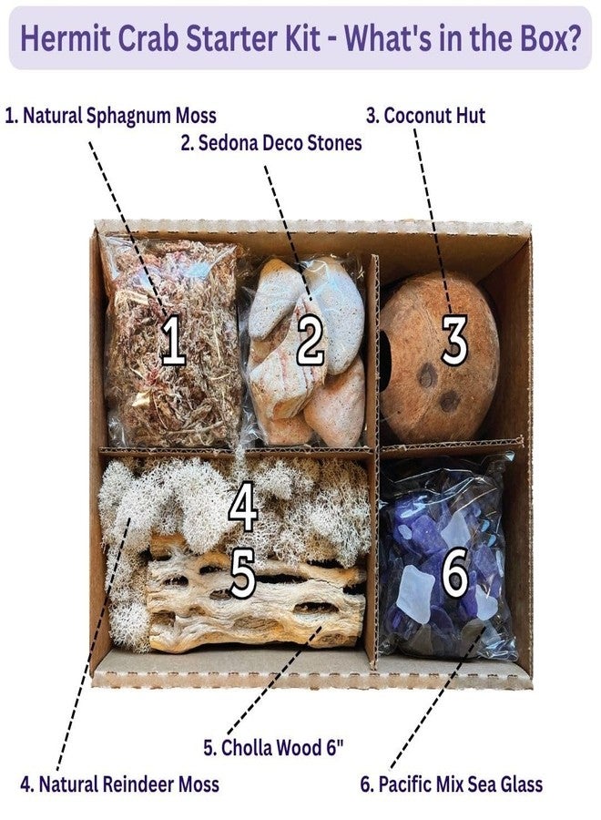 Galapagos Galápagos (05355) Hermit Crab Starter Kit - Complete DIY Habitat Essentials for Terrestrial and Semi-Aquatic Crustaceans, Includes Cholla Wood, Coconut Hut, Moss, Stones and More, 4.5 Quarts - Image 2