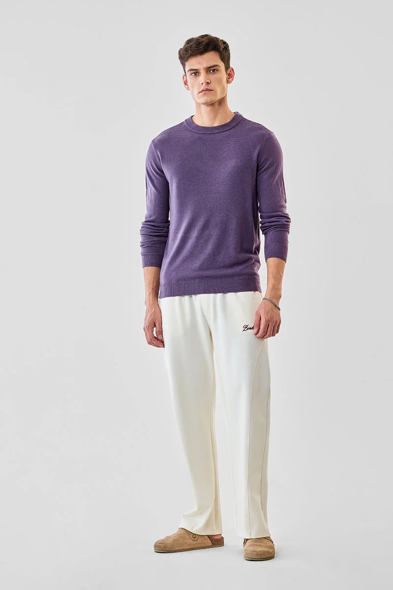 SNITCH Regular Fit Purple Sweater