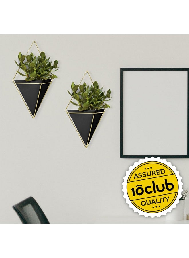 Kraft Seeds Kraft Seeds by 10CLUB Hanging Metal Planters (Black, Pack of 2) | Inverted Pyramid-Shaped Pots for Indoor Gardening and Home Decor | Wall Mountable Triangular Planters with Gold Frame - Image 2