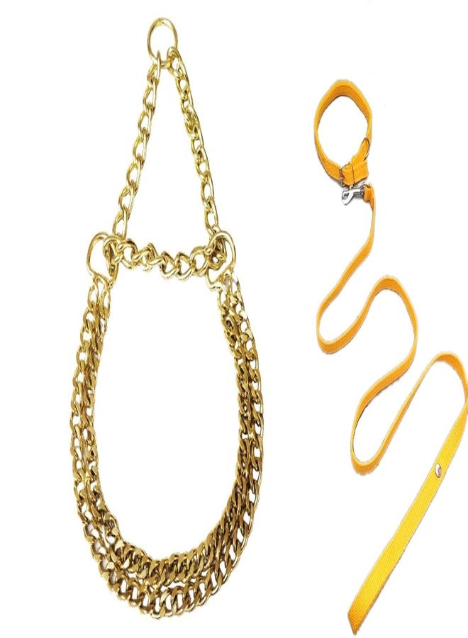 Penta Paws 2 Layer Dog Choke Chain Martingale Golden Collar -24 Inch and 1/2 INCH Yellow Designed Belt for Your Puppy, Cat & Small Dog Collar Belt & Leash