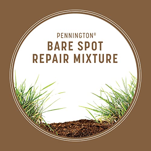 Pennington Bare Spot Repair Grass Seed Mixture - Central 1 lb - Image 4