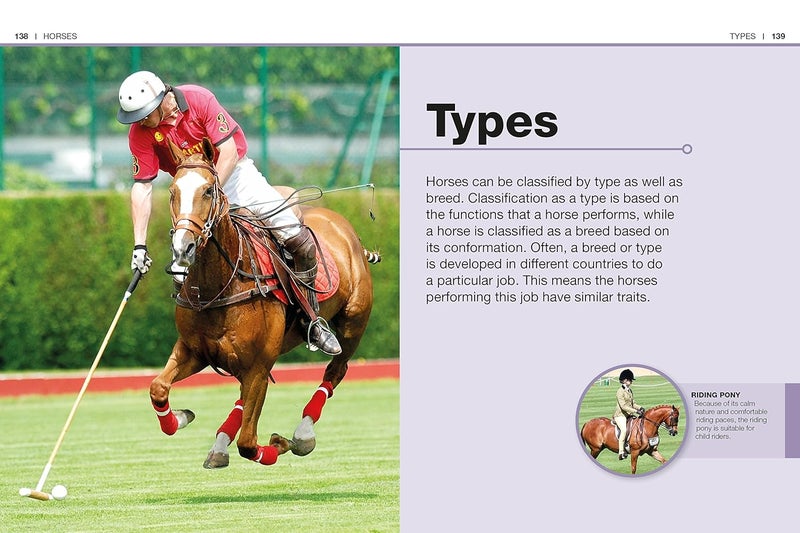 Pocket Genius: Horses: Facts at Your Fingertips - Image 5
