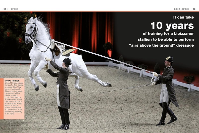 Pocket Genius: Horses: Facts at Your Fingertips - Image 4