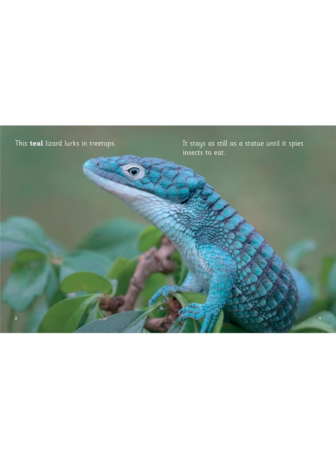 Living in the Clouds: Phase 5 Set 1 - Image 4