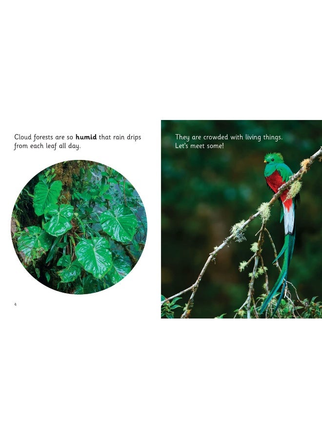 Living in the Clouds: Phase 5 Set 1 - Image 3