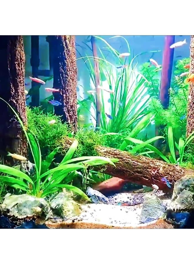 Aquarium Decoration Betta Log Champagne Tree Trunk Decor Stone Base Straight Trunk Hideout Fish Tank Ornament for Cichlid Shrimp Reptile Turtle - Image 5