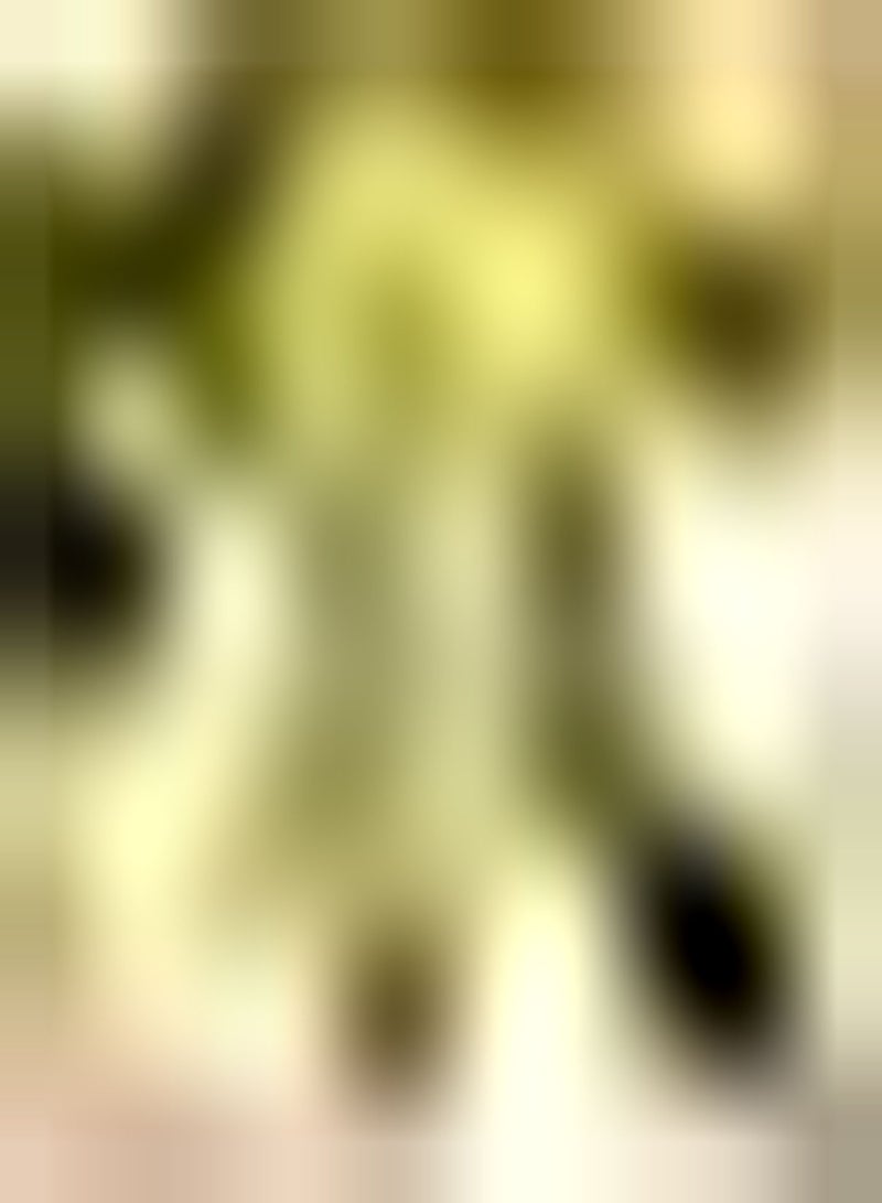 GGOOT 50Stück Weißer Bitterer Kürbissamen Kletterndes Grünes Gemüse Einzigartige Gartendekoration Einfache Kultivierung Braucht Nicht viel Pflege Einstiegssorte - Image 1