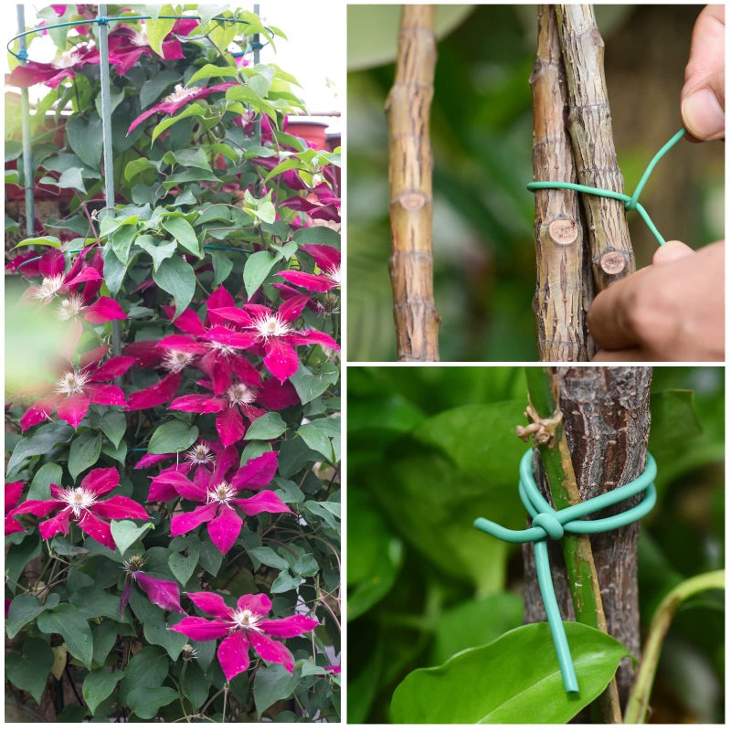 YDSL 88 feet Garden Flexible Wire, Soft Twist Plant Ties for Plant Vines and Office Organization (Diameter - 3MM) - Image 5
