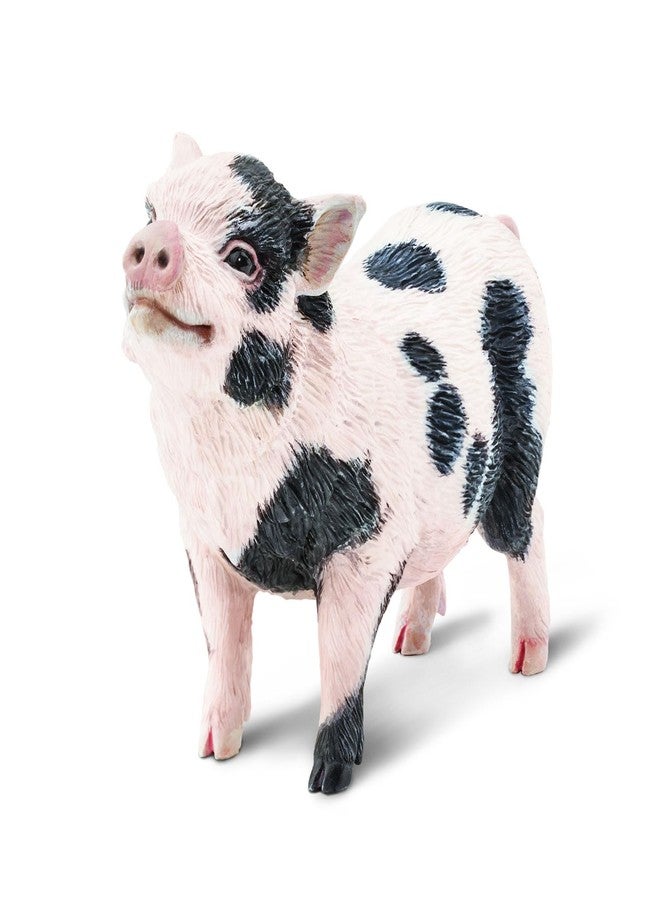 Toob Safari Ltd. Pot-Bellied Pig Figurine - Detailed 5.25" Model Figure - Educational Toy for Boys, Girls, and Kids Ages 18M+ - Image 5