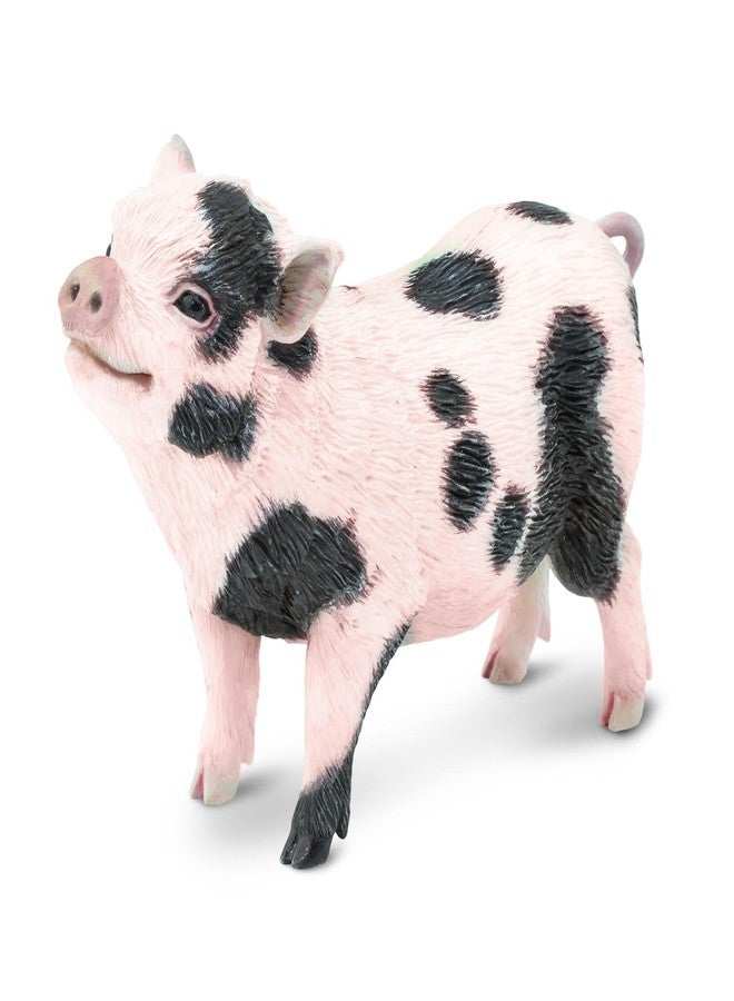 Toob Safari Ltd. Pot-Bellied Pig Figurine - Detailed 5.25" Model Figure - Educational Toy for Boys, Girls, and Kids Ages 18M+ - Image 1