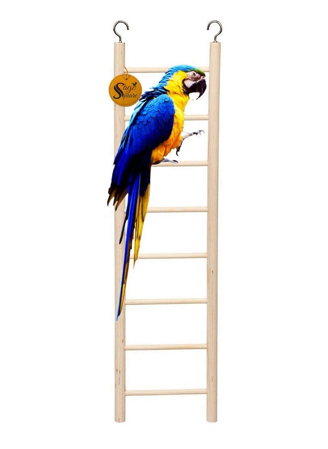 Sage Square Sage Square Playful Natural Wooden Climbing Ladder Toy for Exercise & Fun || with Hooks to Hang on || for Birds, Parrot, Budgies and Other Small, Medium Large Bird || 8 Level / 38cm  - Image 1