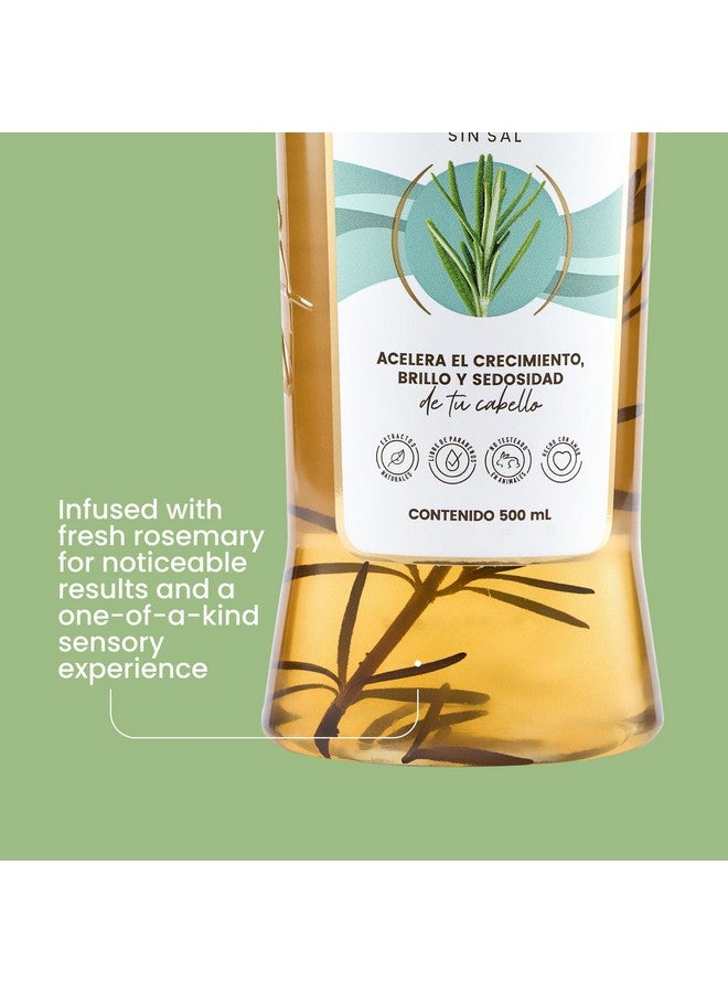 ANYELUZ Anyeluz - Rosemary Shampoo | Promotes Hair Growth | Cleanses and Reduces Oiliness | For all Hair Types | Natural Extracts | Salt and Paraben Free  - Image 3